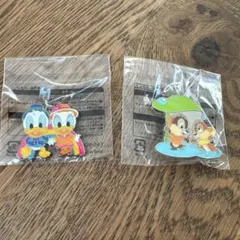 ディズニーランド　ピンバッジ　チャーム雨の日限定