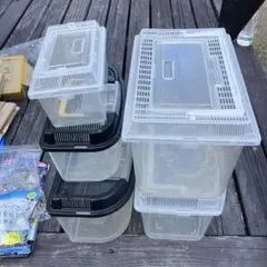 Item thumbnail for item 594886cb-71cb-4137-8a91-6ddaaae8af90