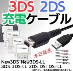 本日発送Nintendo 3DS&2DS対応/充電器ケーブルb