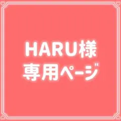 HARU様 リクエスト 2点 まとめ商品 200円割引