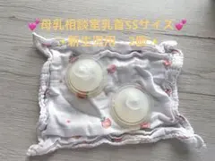 Pigeon 母乳相談室　桶谷式　哺乳瓶用乳首　SSサイズ　 新生児　2個