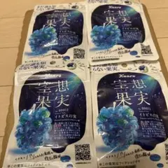 Kanro 空想果実 イトピスの実 4袋セットのサムネイル