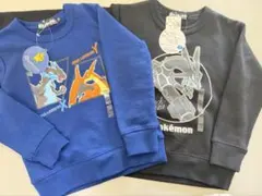 ポケモン　トレーナー　110 ２点