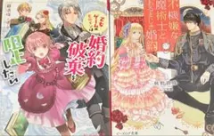 不機嫌な魔術士とあるまじき婚約 - メルカリ