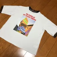 美品　レピピＴシャツ　Mサイズ