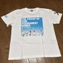 ワンピースTシャツ