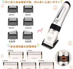 Item thumbnail for item 02156c33-2b50-455c-8b96-93212de46518