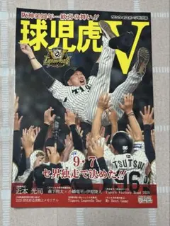 阪神タイガース優勝特別版 サンケイスポーツ特別版