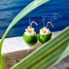 ミニチュアドリンク ココナッツジュース❀ ( トロピカルドリンク ハワイアン )
