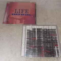 小沢健二　KENJI OZAWA 　2枚セット　まとめ売り　LIFE アルバム