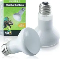 Item thumbnail for item 72dbfd54-355d-4c14-b09c-3214daa63f93