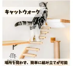MAT Store 캣워크 벽걸이 스텝 고양이용 손톱깎이, 4단