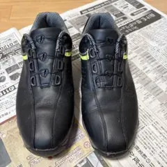 Item thumbnail for item 4613a1fd-4b0f-4b4b-b34f-56f9dd2f68f7