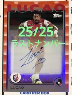 Item thumbnail for item 5998773a-aa71-47dd-ad98-4afacfc6b3f3