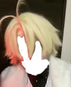 桃源暗鬼 桃宮唾切 コスプレ ウィッグ - メルカリ