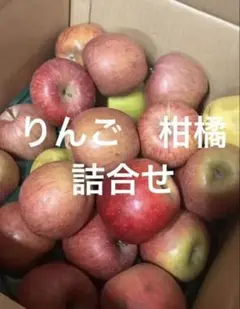 訳あり‼️りんご2種　宇和ゴールド　はっさく10キロ以内のサムネイル