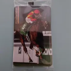 まねき馬　2668　ビザンチンドリーム　マーフィー