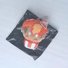 パラライ カップケーキたぴぬい 土佐凌牙