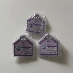 BT21 KOYA パッケージチャーム BTS RM