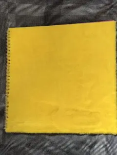 Item thumbnail for item 21722fa7-1da8-4248-9c0f-1671fa38ee4e