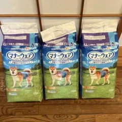 Item thumbnail for item dac36ce4-80ea-4f5a-9977-ecb7022a7d33