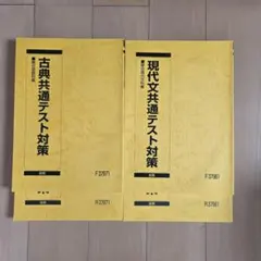 2025 駿台 高卒生 古典・現代文共通テスト対策 前期後期セット