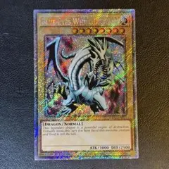 2025年最新】遊戯王 ブルーアイズホワイトドラゴン 英語の人気アイテム
