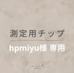 hpmiyu様専用 測定用ネイルチップ