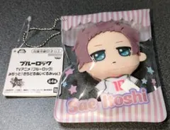 ブルーロック Sae Itoshi 糸師冴　きらどるむいぐるみvol.1