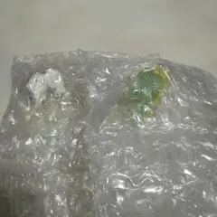 矢沢あいBig Metal Ring スドーザウルス・天使の羽 2点セット