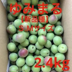 ④紀州南高梅 減農薬 かなり訳あり 4L〜L大きめ 箱込み5キロ - メルカリ