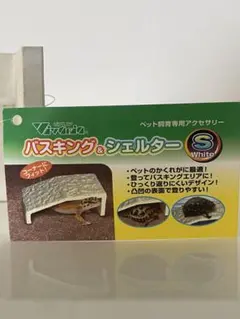 Item thumbnail for item 450472f0-f501-4e41-85bd-5bd7f2fd0fe1