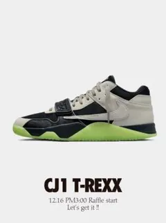 Chase B Nike Jumpman Jack TR CJ1 T-Rexx