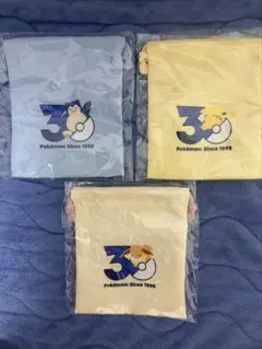 ポケモンスリープ ねがおリサーチ ピカチュウ カビゴン　イーブイ　巾着　アクキー ポケモンスリープ ねがおリサーチ ピカチュウ カビゴン イーブイ 巾着