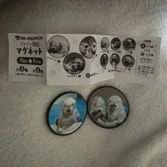 6/10新発売‼️店頭完売 鳥羽水族館 メイ キラ ラッコ 缶バッジ - メルカリ