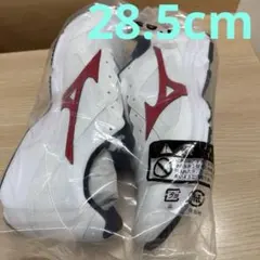 ミズノ ランニングシューズ 現行 レッド 28.5cm スニーカーのサムネイル