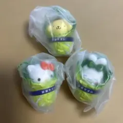 サンリオ 白菜 キティ プリン シナモロール