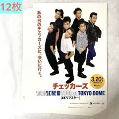 2026年最新】チェッカーズ グッズの人気アイテム - メルカリ