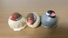 めーちっさい 個体を保てなくなった文鳥 3点セット 가챠 カプセルトイ