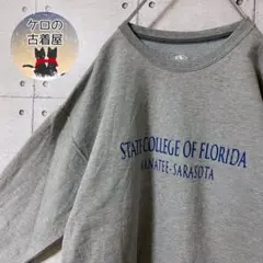 カレッジ メンズ スウェット トレーナー L グレー US古着