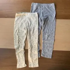 ʕ•ᴥ•ʔレギンス2点セット