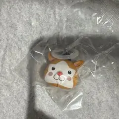 プロ野球　めじるしチャーム