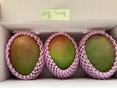 7訳あり沖縄産キーツマンゴー 3玉（約2.1kg）のサムネイル