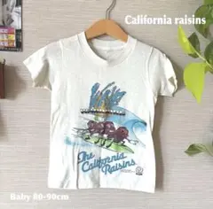 Item thumbnail for item 9e0af6fc-c146-461d-a691-c4a41317a181