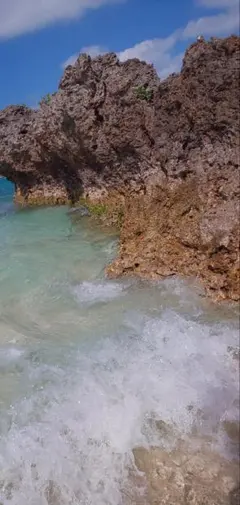 ゆゆゆ様　専用その２