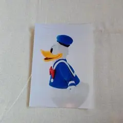 ドナルド　写真