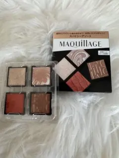 マキアージュ カスタマイズアイカラーアソート 01スパイシーアソート