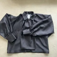 MaxMara 長袖ブラウスのサムネイル