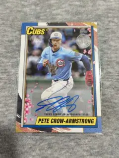 2026年最新】pca カブスの人気アイテム - メルカリ