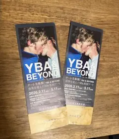 テート美術館 YBA&BEYON 展のサムネイル